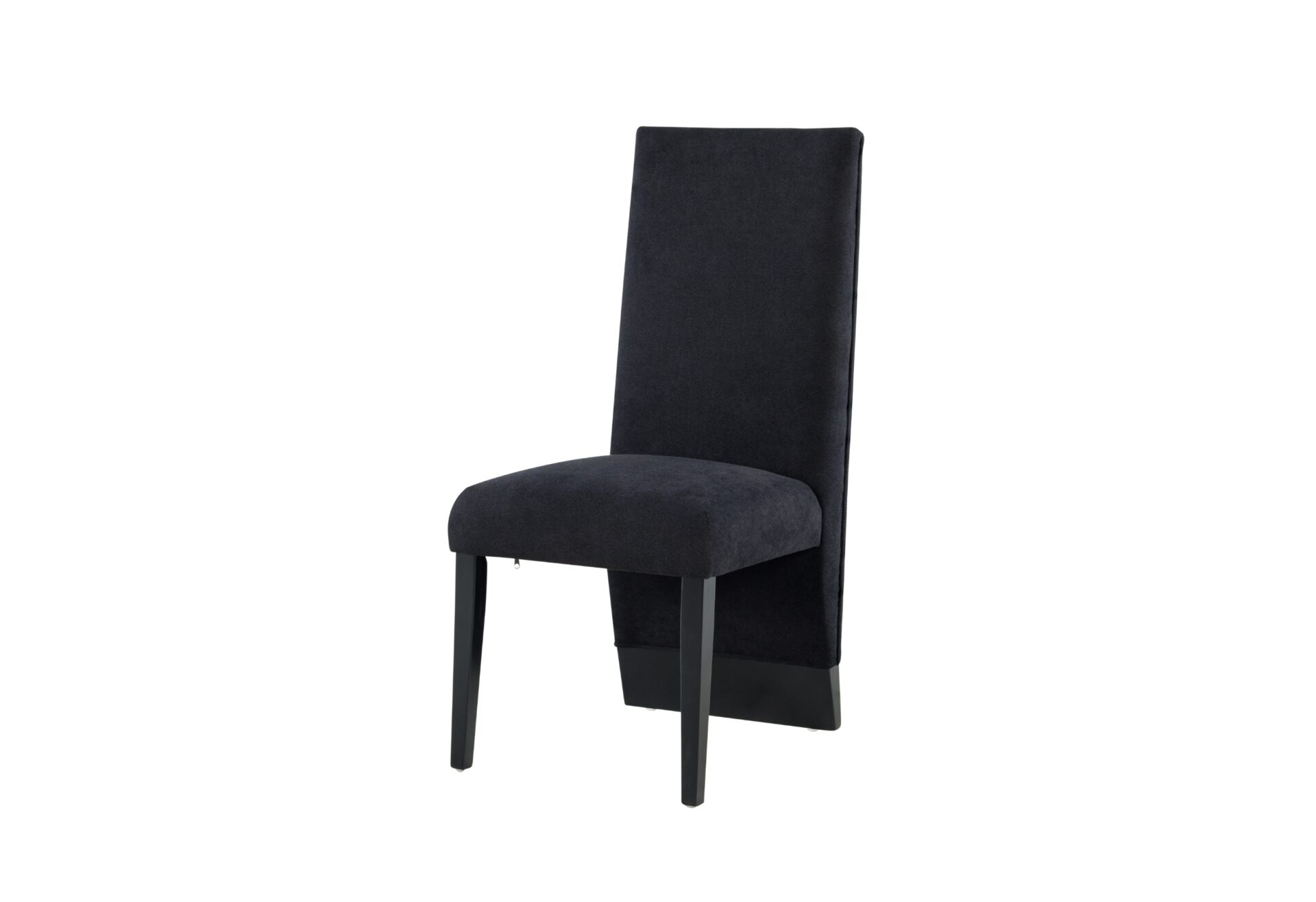 BLACK DINING CHAIR (2/CN)
